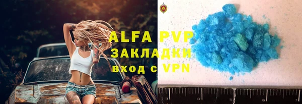 ешки Богданович